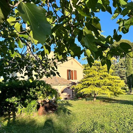 Casale La Civetta Bed & Breakfast Larino Exterior photo